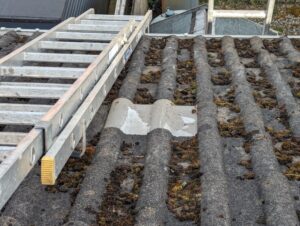 Roof